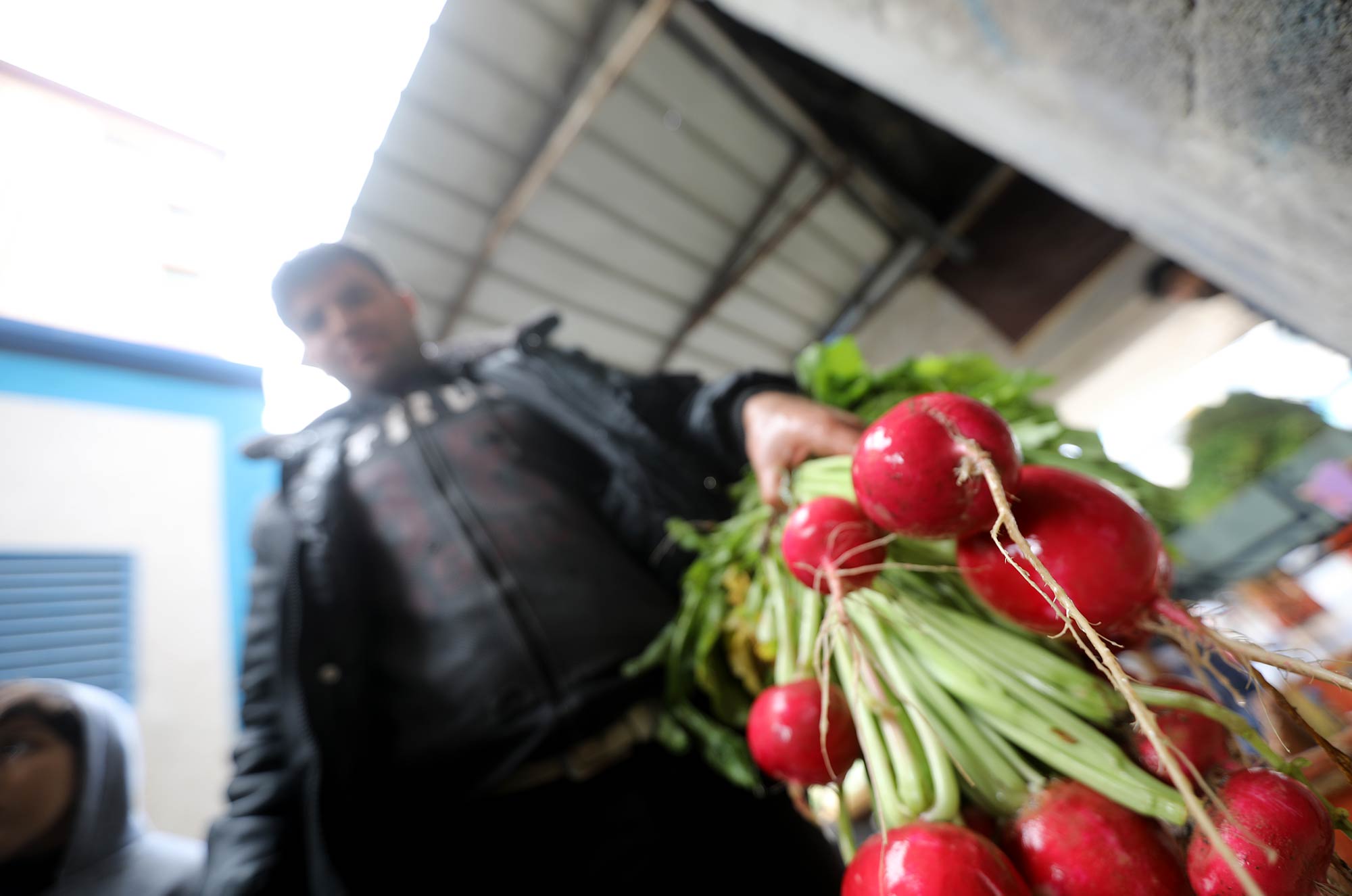 A merchant with his freshly washed Spanish radishes in front of the Anera-renovated water well pump facility in Jabalia refugee camp, Gaza.