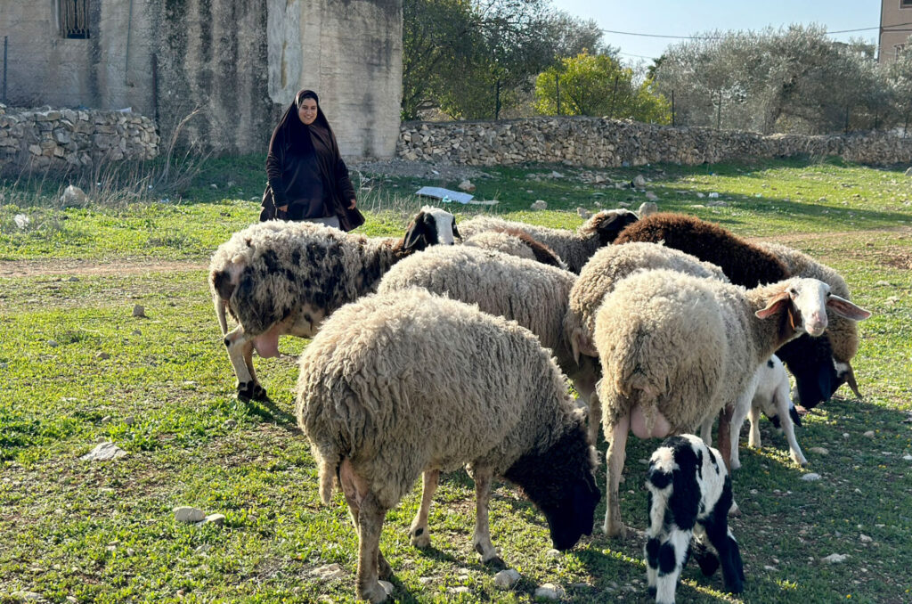 palestine, women-can, women's-empowerment, west-bank, IMG_5758-EDITED