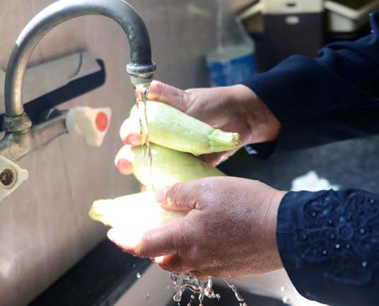 Hands washing produce at the kitchen sink.