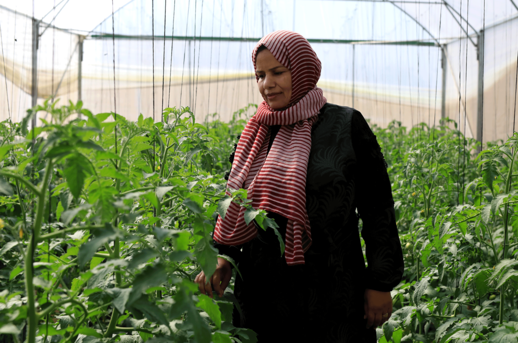 Taghreed in her greenhouse