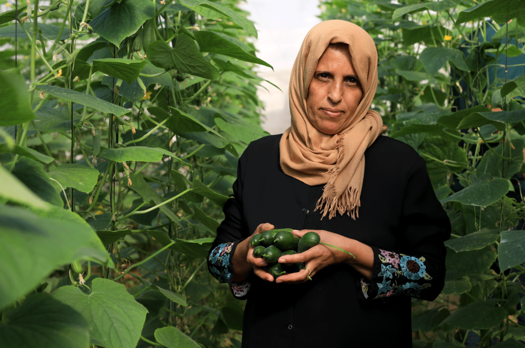 Rahma in her greenhouse with freshly picked cucumbers.