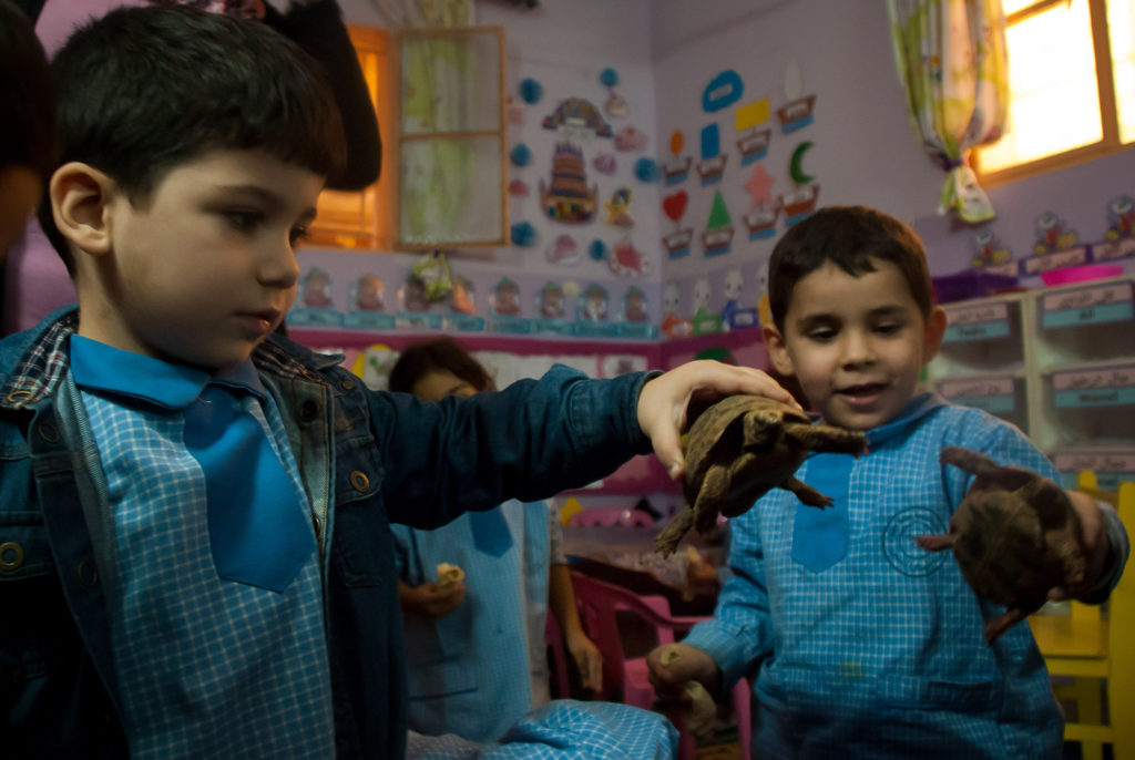 earlychildhood2 earlychildhood2