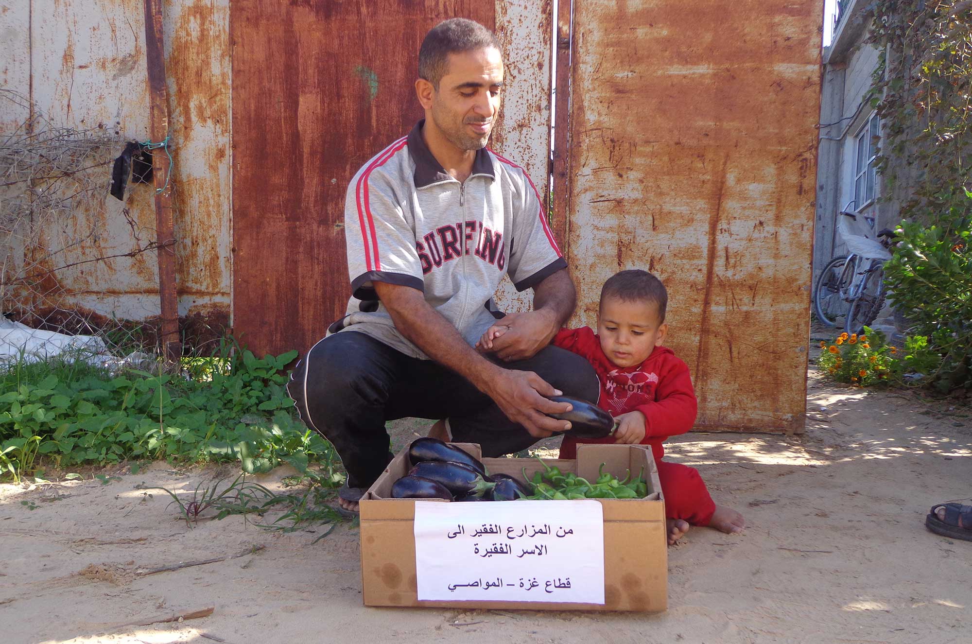 A displaced father and his son look through their own box of fresh produce from the farmers.
