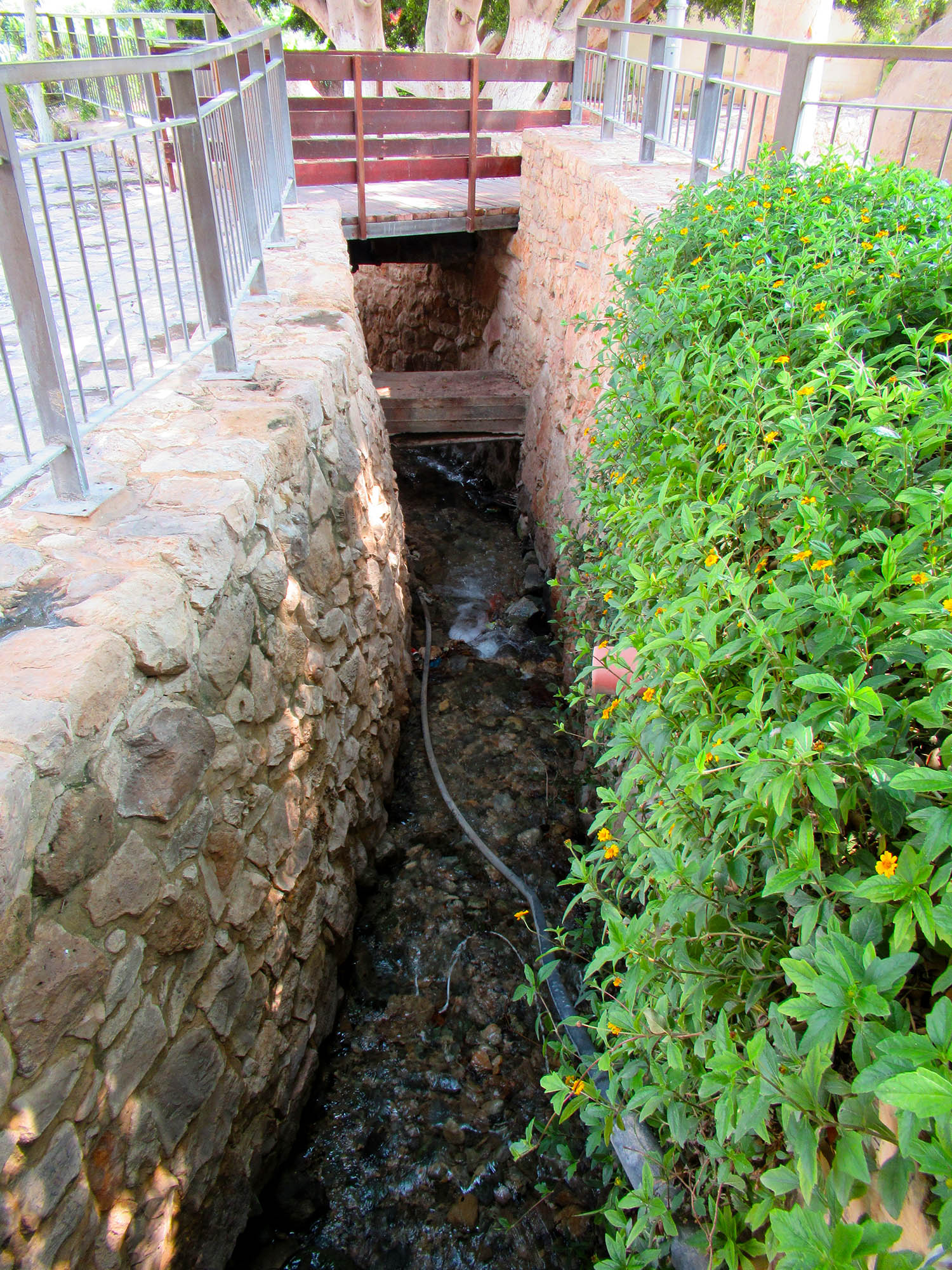 Jericho, Ein Al Sultan, Palestine, water