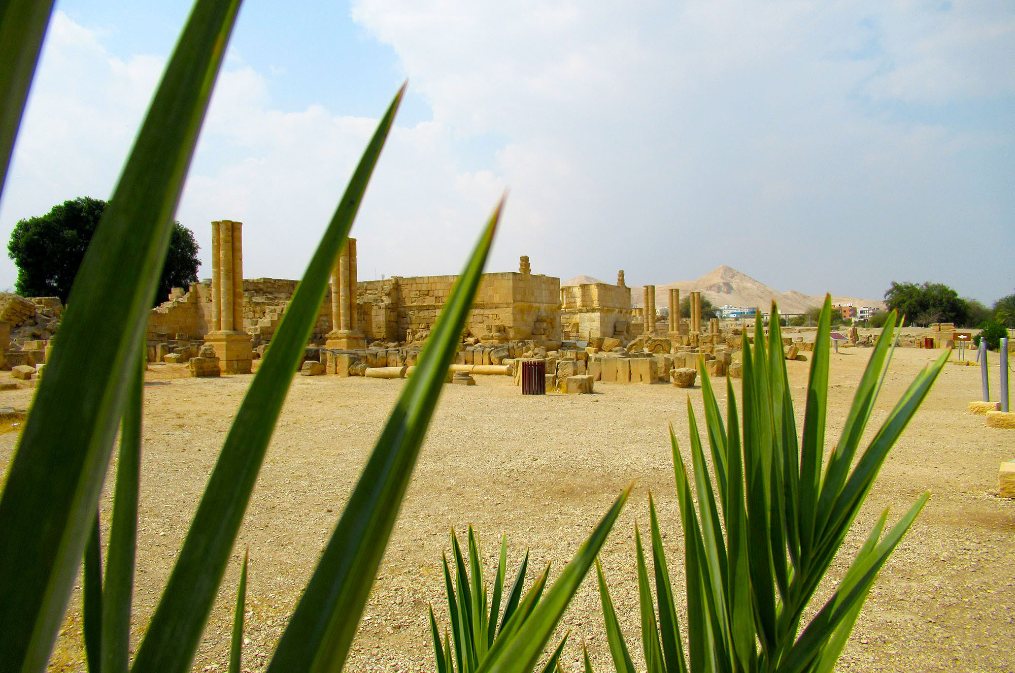 Hisham Palace, Jericho, Palestine, community