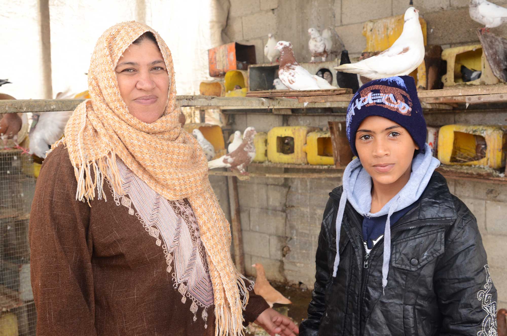 Hanan’s young son, Ismail, helps her feed and water their livestock. The water connection has enabled Hanan to maintain the family’s livelihood.