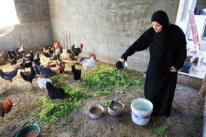 Families need clean water in Gaza to maintain good health and run family businesses.