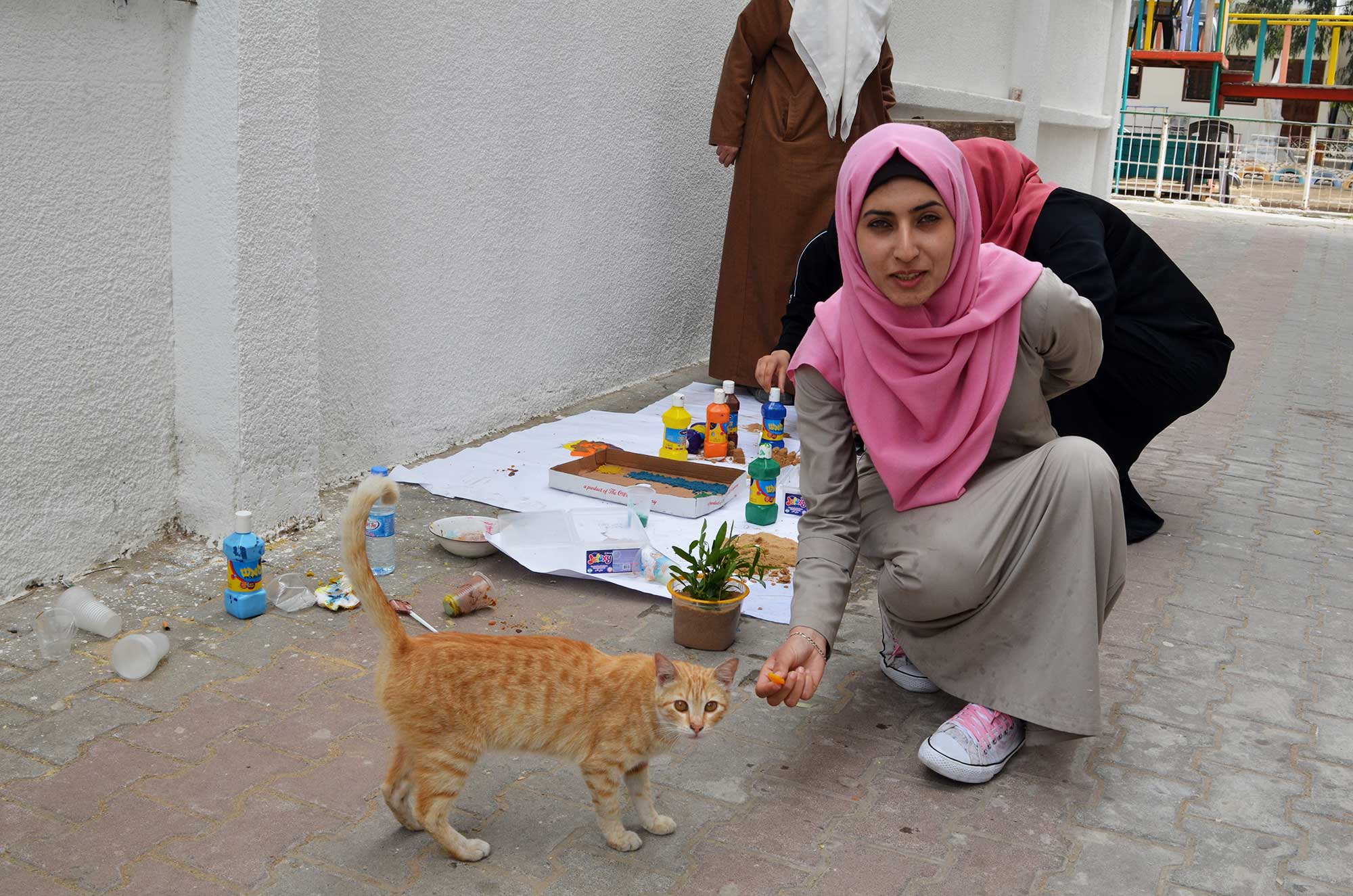A cat wanders onto the teacher training session and a teacher offers him a healthy snack.