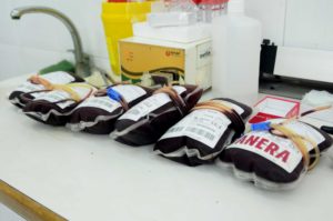 Recognizing the urgent needs of the Central Blood Bank Society, Anera responded with blood bags immediately!