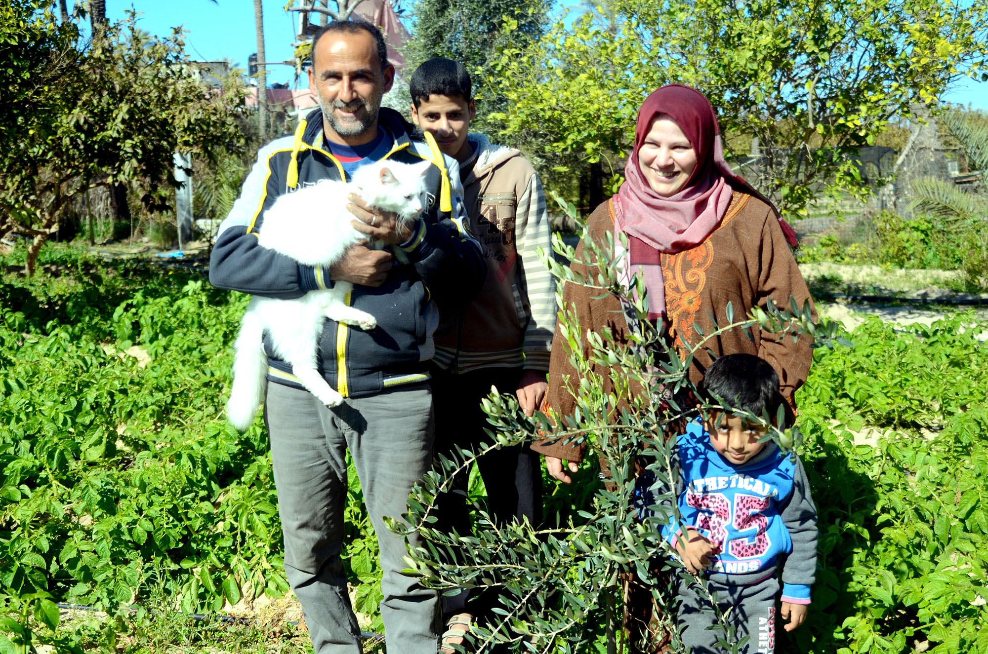 Gaza farmer, Shaban, stands in his potato field with his family.