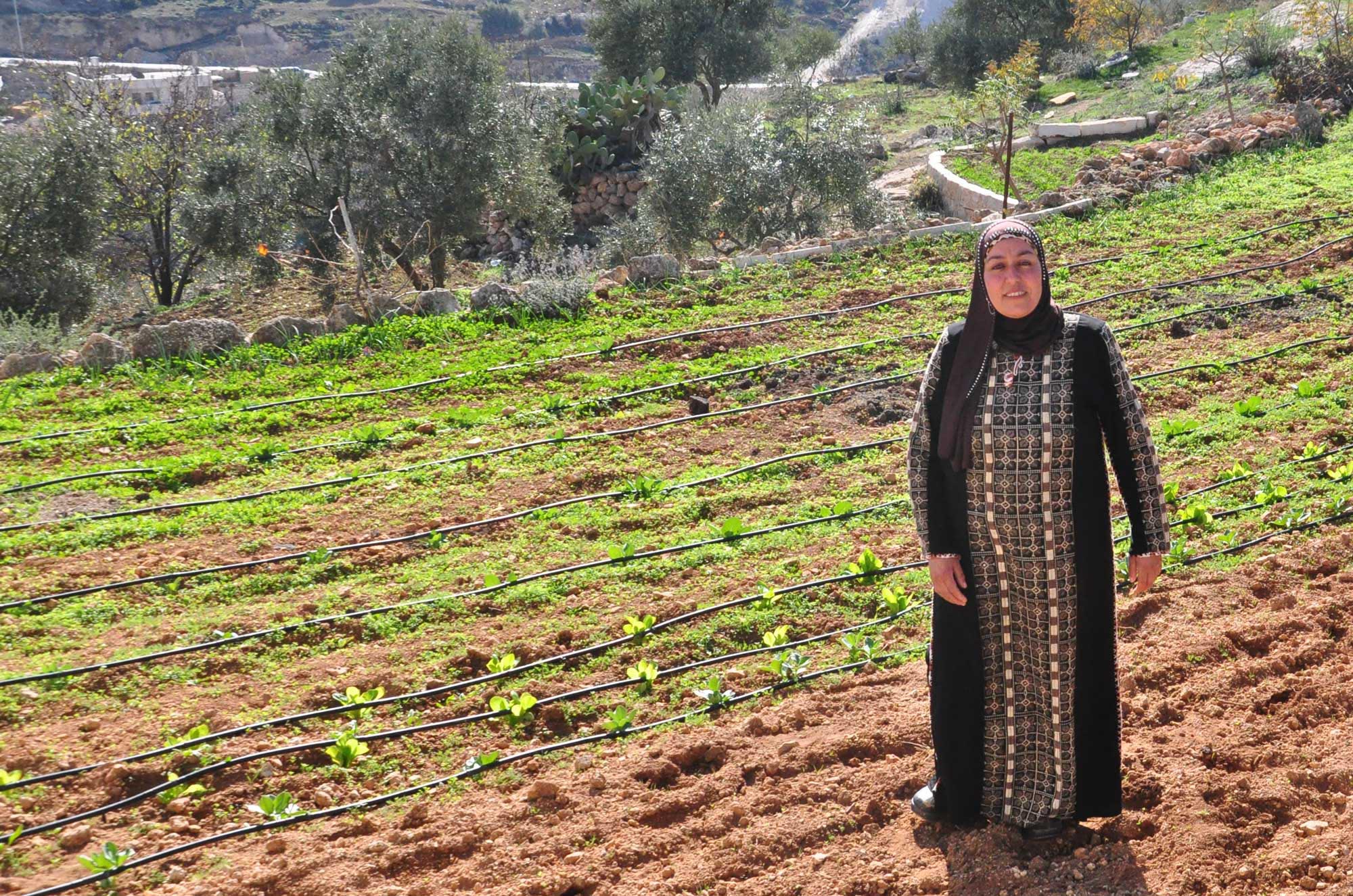 A farmer in the West Bank