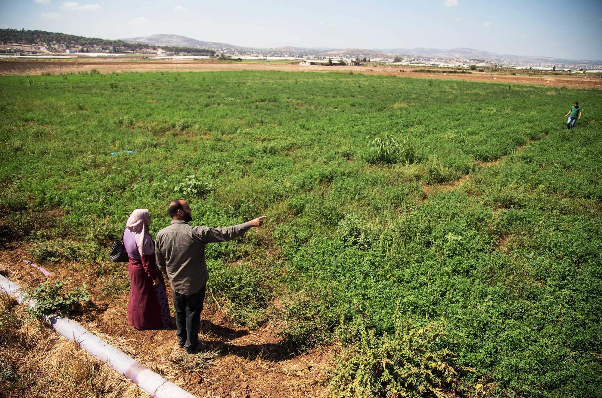 Recycled water irrigation is part of our plan to protect the environment in Lebanon and Palestine.