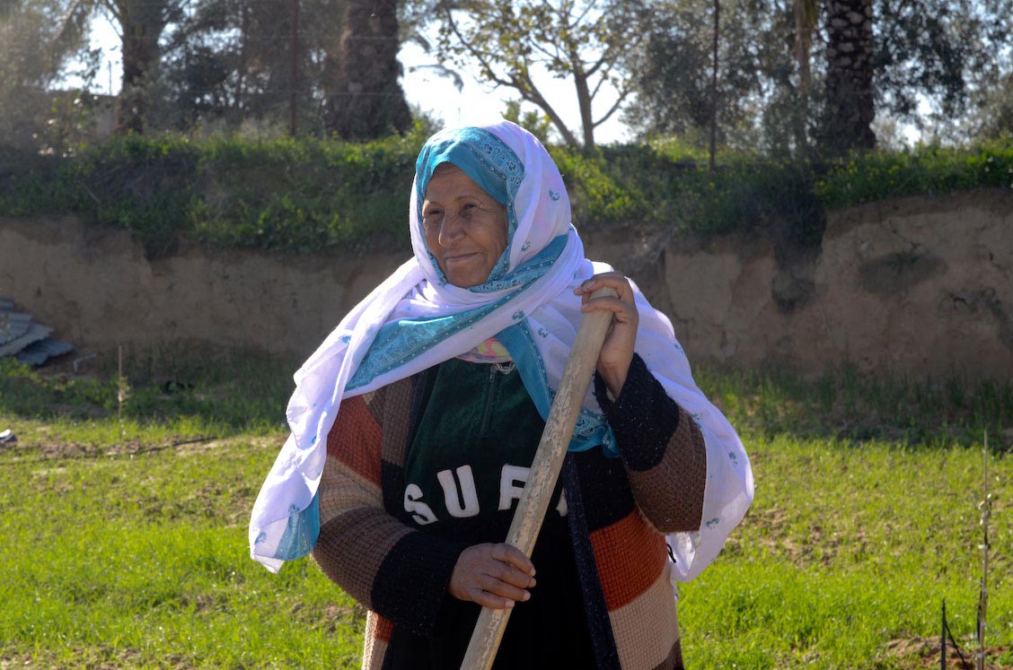 Anera helps restore Gaza agriculture afte rthe 20124 war.