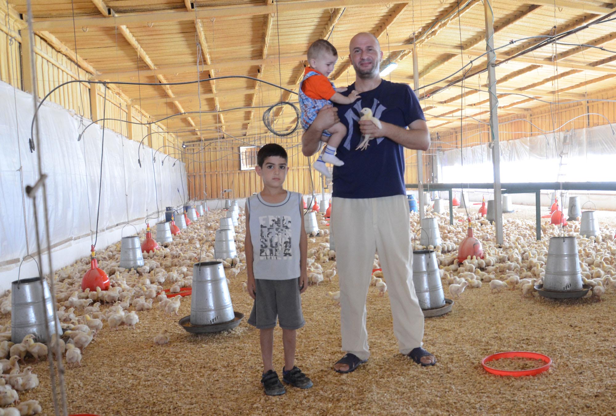 Bashir, his son and nephew stand in the middle of young chicks he bought from the co-op Anera helped build 35 years ago.