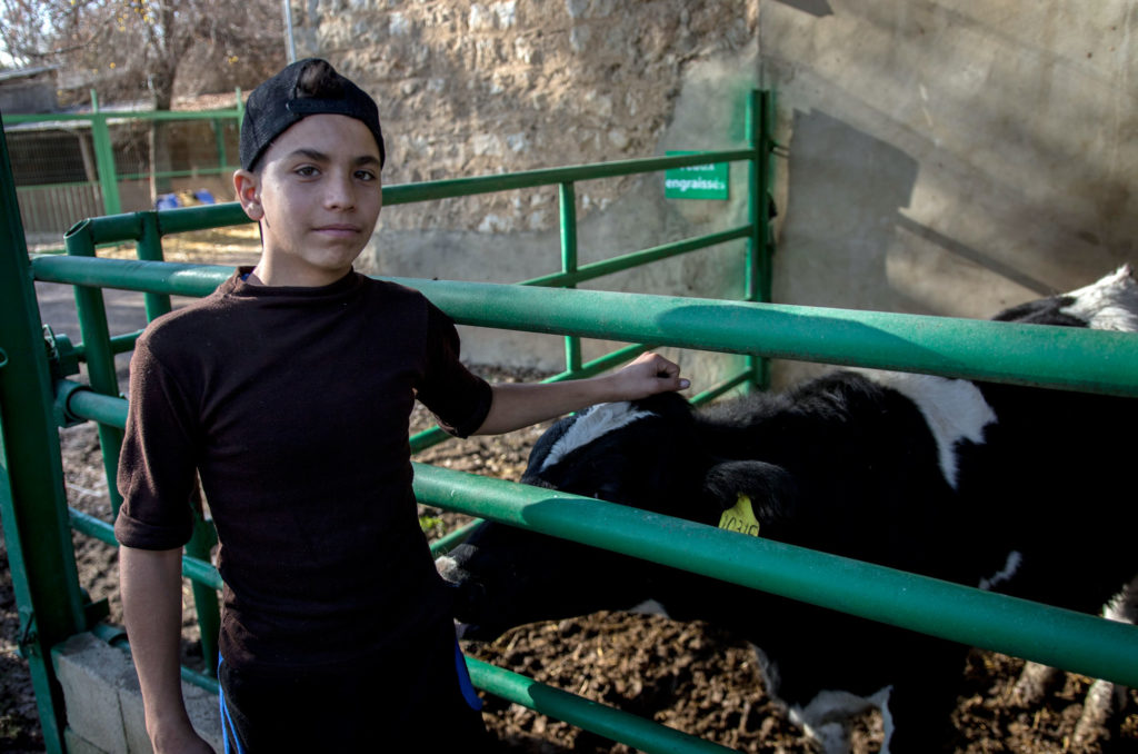 Syrian refugees, like this teen, are learning the skills to become farmers.
