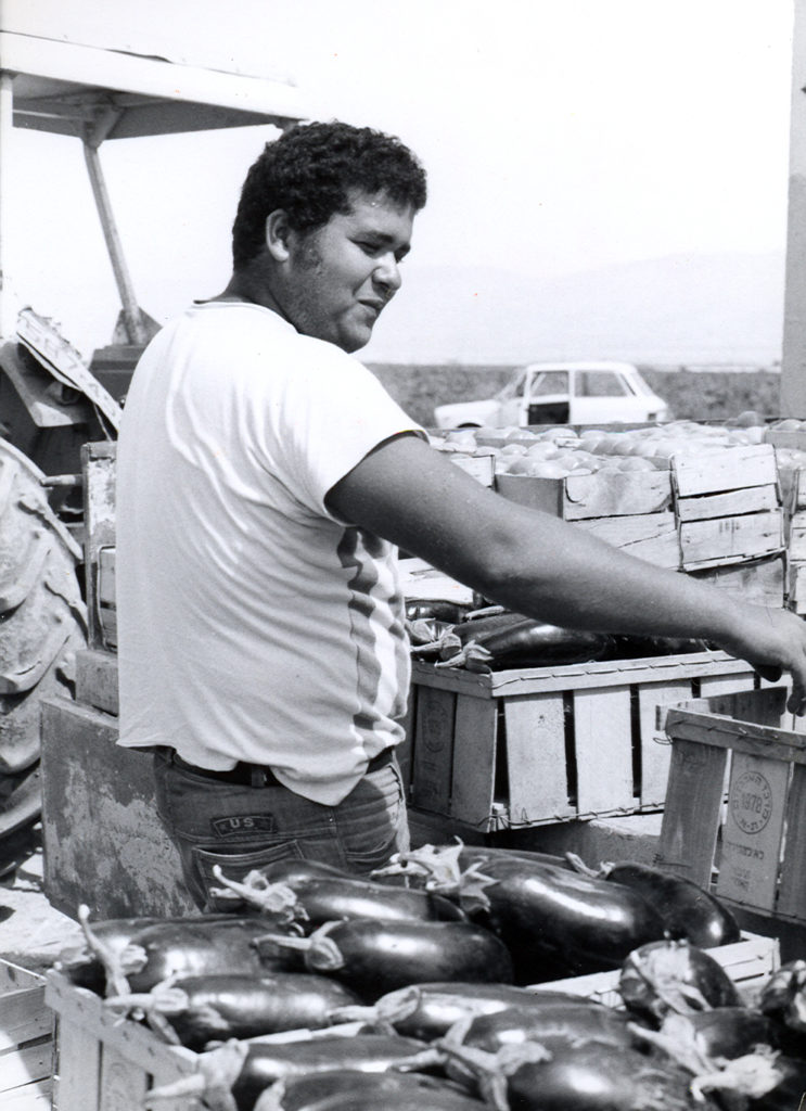 A History of Lasting Impact in Palestinian Agriculture - Anera