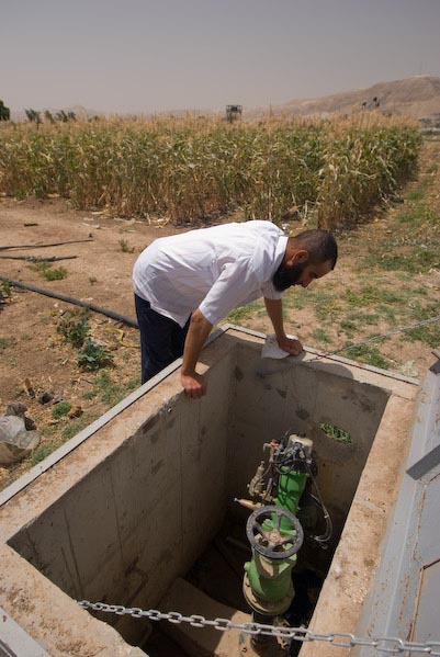 History of Lasting Impact in Palestinian Agriculture Ein El Sultan spring project