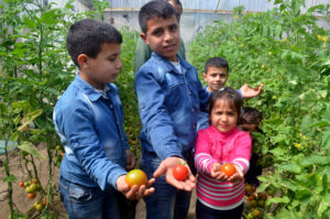 With the revenue from the Gaza greenhouse, Khaled can provide for his children.