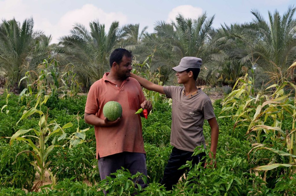 Ibrahim and his son on their farm in Gaza.