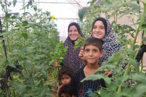 Gaza greenhouses help farmers like Sabah make an income and feed her family.
