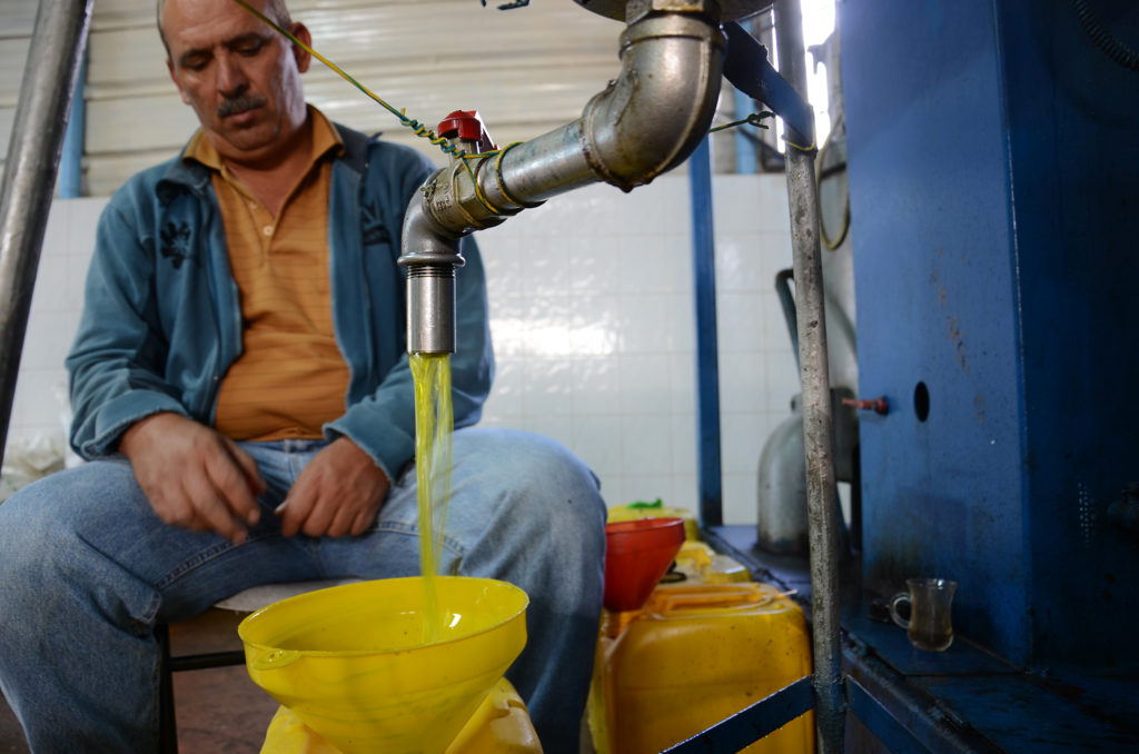 A Palestinian man presses olives into olive oil at an olive press in Idhna, West Bank.