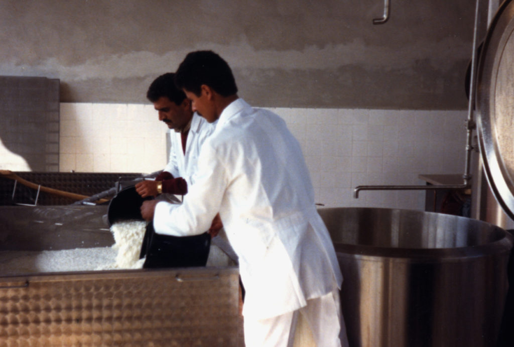 Workers at a West Bank dairy pouring milk.