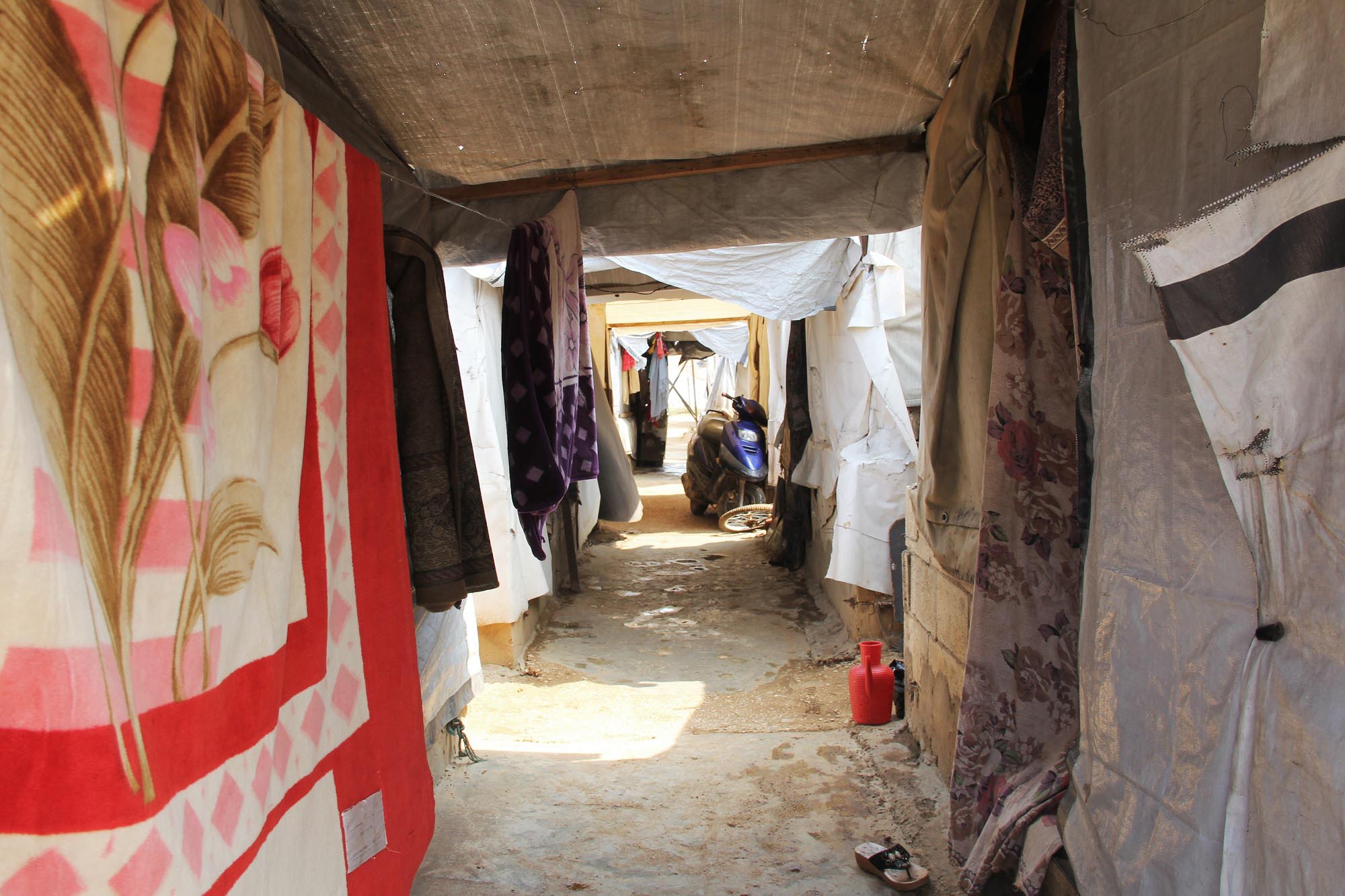The crowded Rihaniyeh Camp is home to more than 250 families