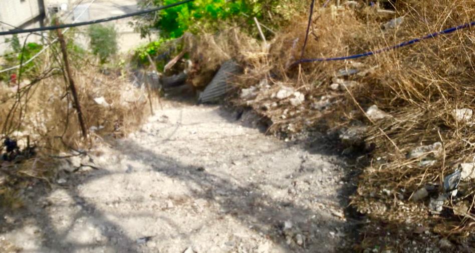 WhatsApp Image 2018-11-14 at 16.04.22 (1) Part of the path before the building of the staircase.