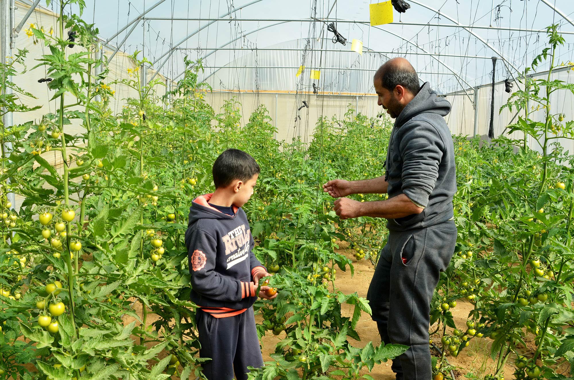 Gaza father shows his son how to tend plants.