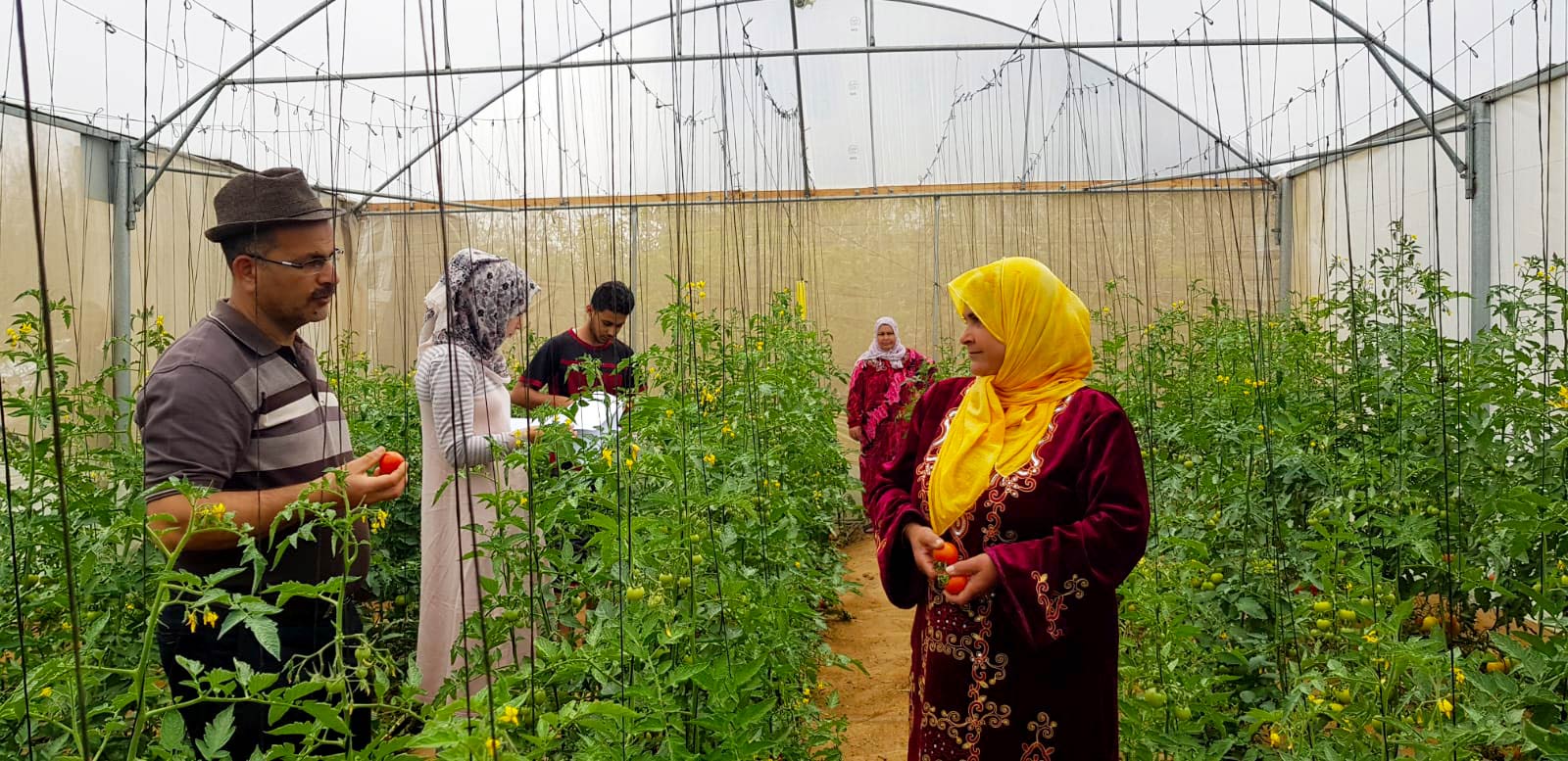 Naser Qadous, Anera's Agriculture Programs Manager, talks with Amena about best farming practices inside her greenhouse.