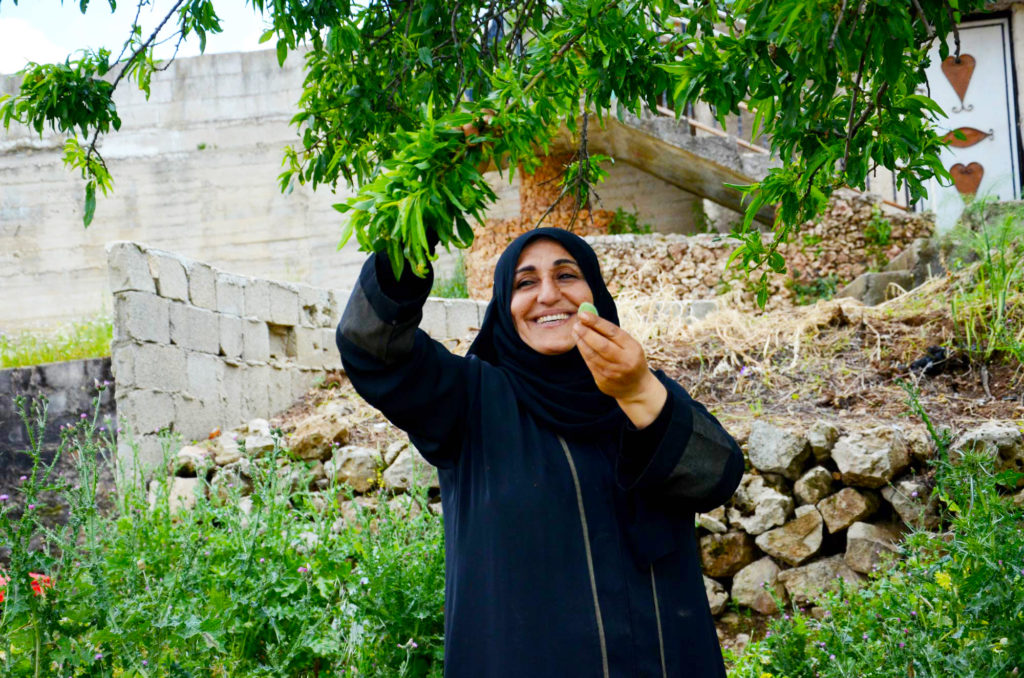 Sanaa shares a green almond from her tree.