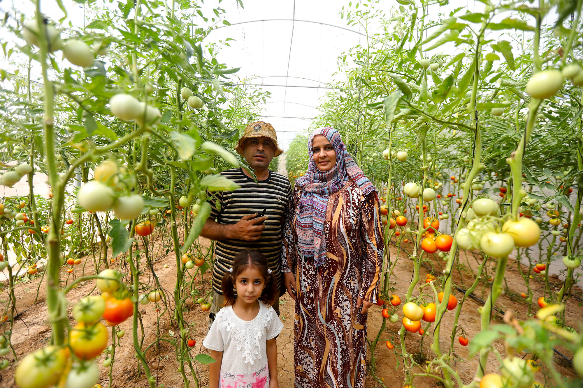 Fadel, Linda and their daughter stand among the tomatoes grown in their Anera-built greenhouse.