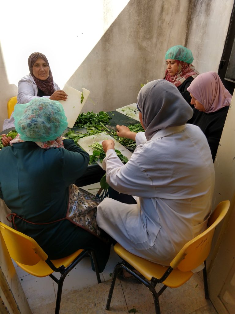 Women at the CSSL center in Beit Hanoun, Gaza cut up leafy greens for local preschoolers' lunches.