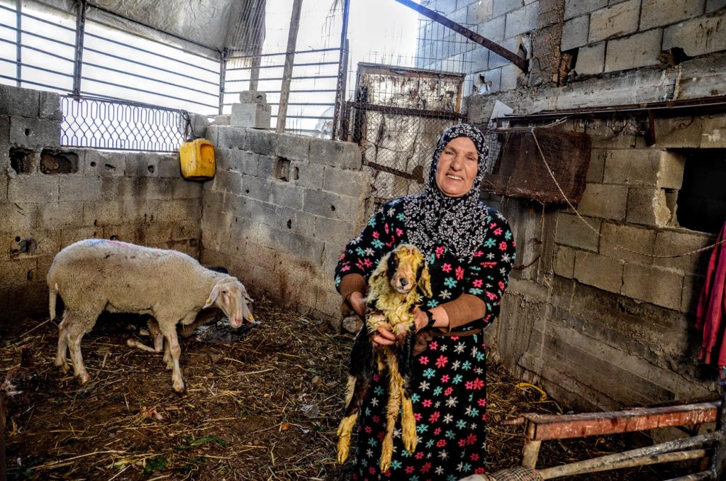 Naiima on her farm holding the newborn sheep.