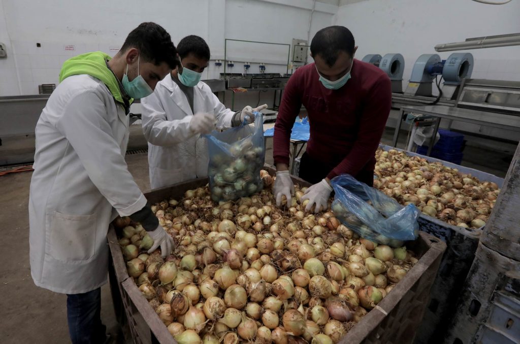 Workers bag onions for the parcels