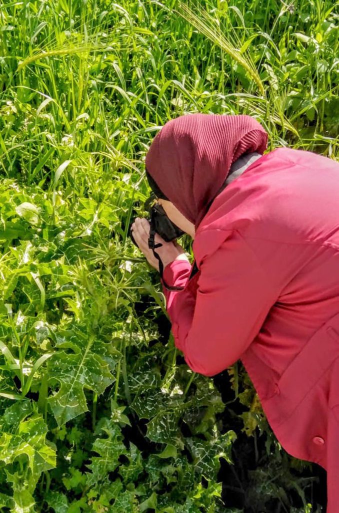 Manal photographing flowers.