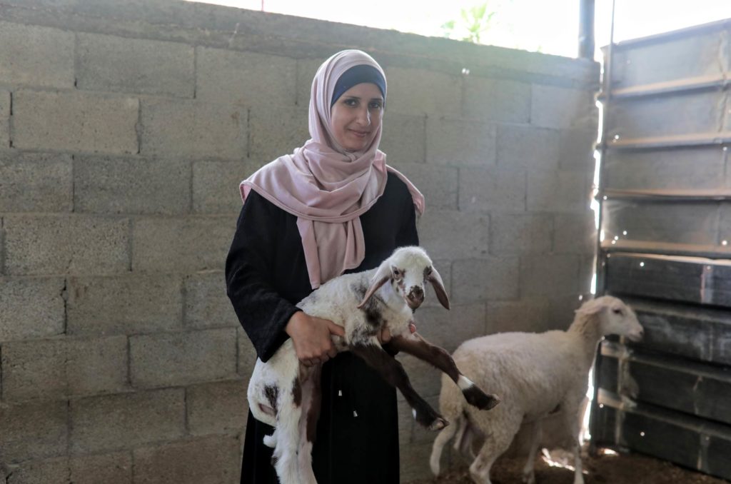 Gaza, women's-empowerment, CSSL, sheep, Asmaa Asmaa with her sheep