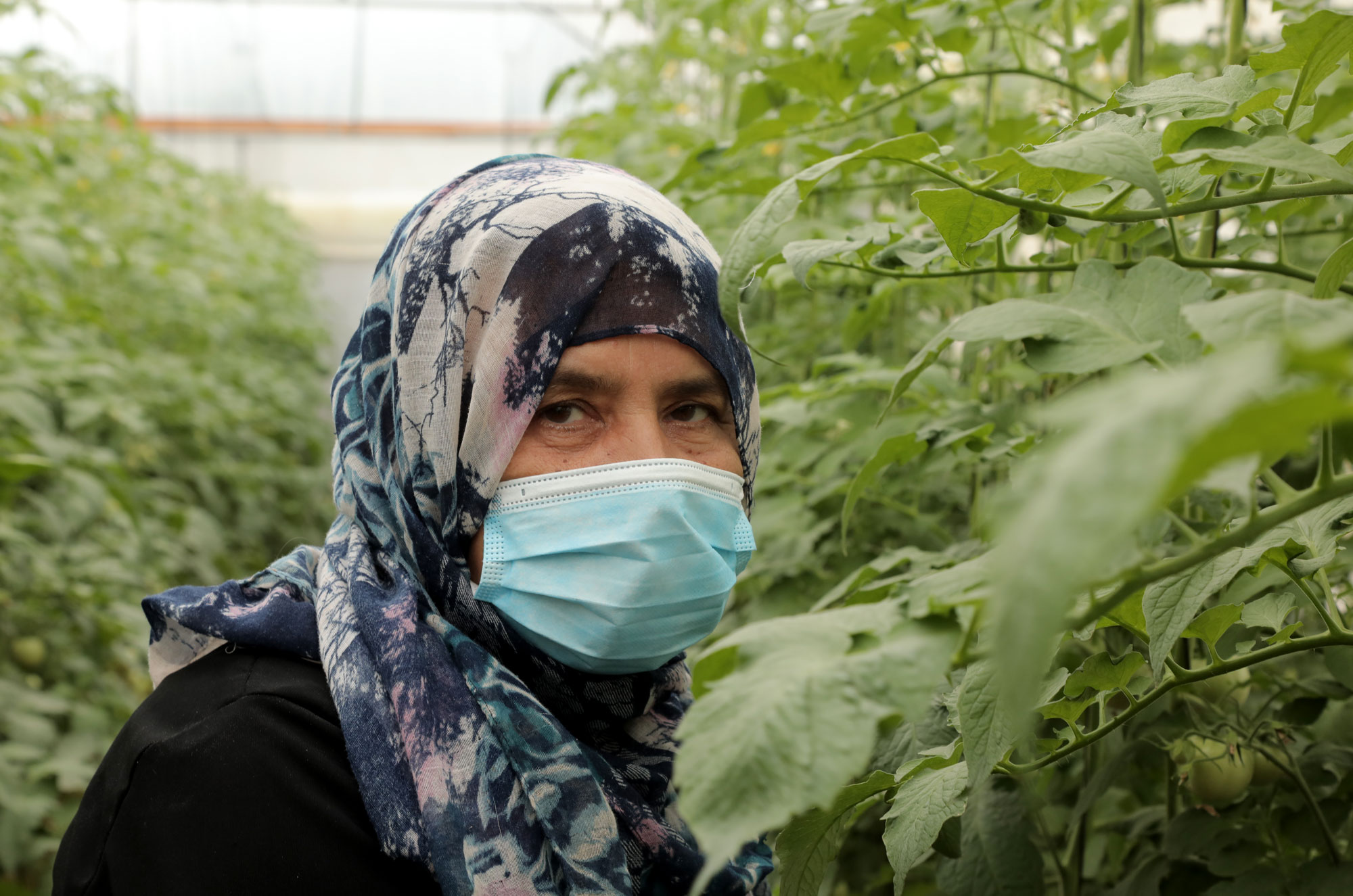 Halima in her greenhouse