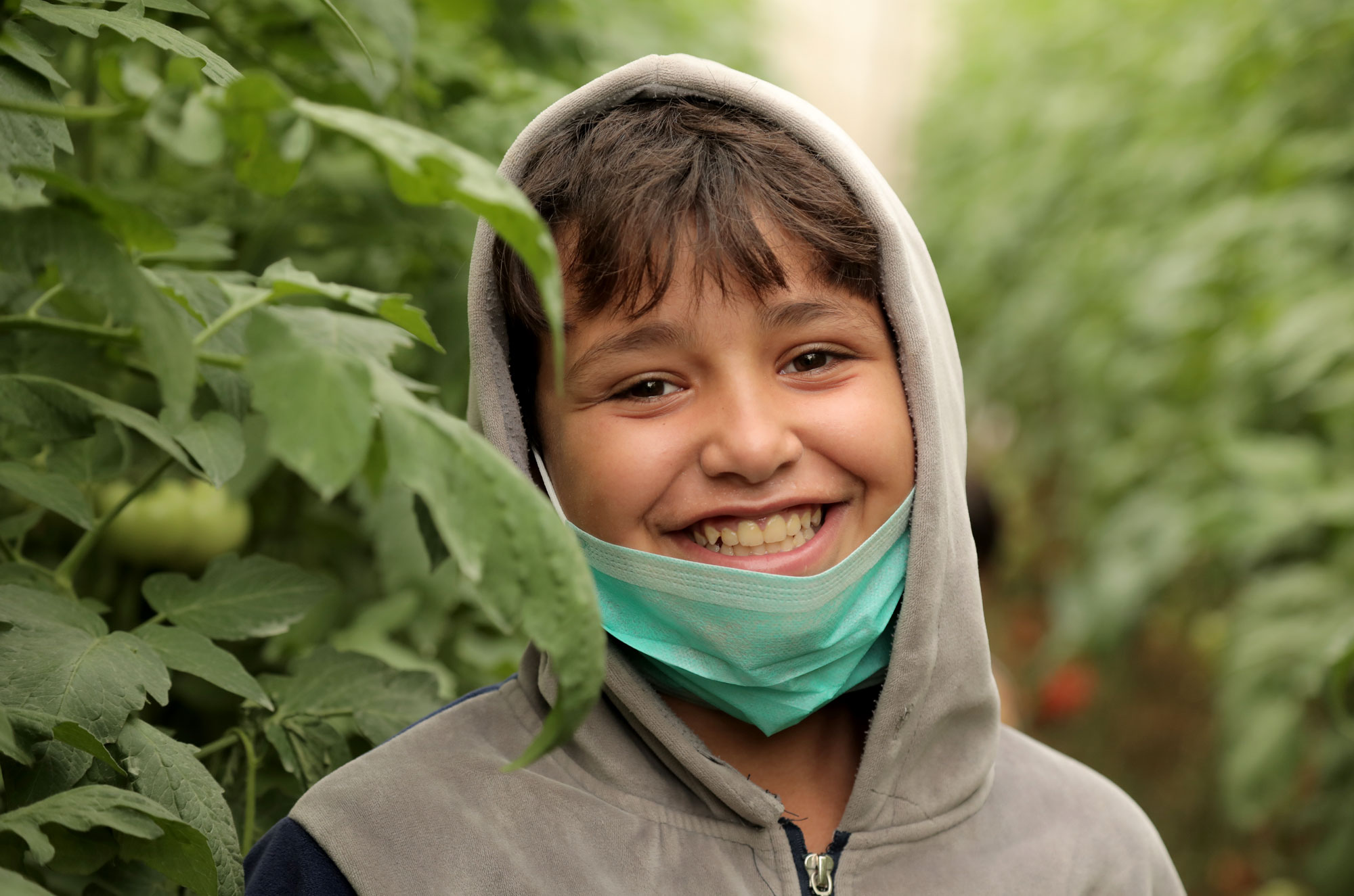 Ali and his family in Khan Younis, Gaza, have a greenhouse that Anera built in their yard. They grow great amounts of produce, which they eat and sell for extra income. 