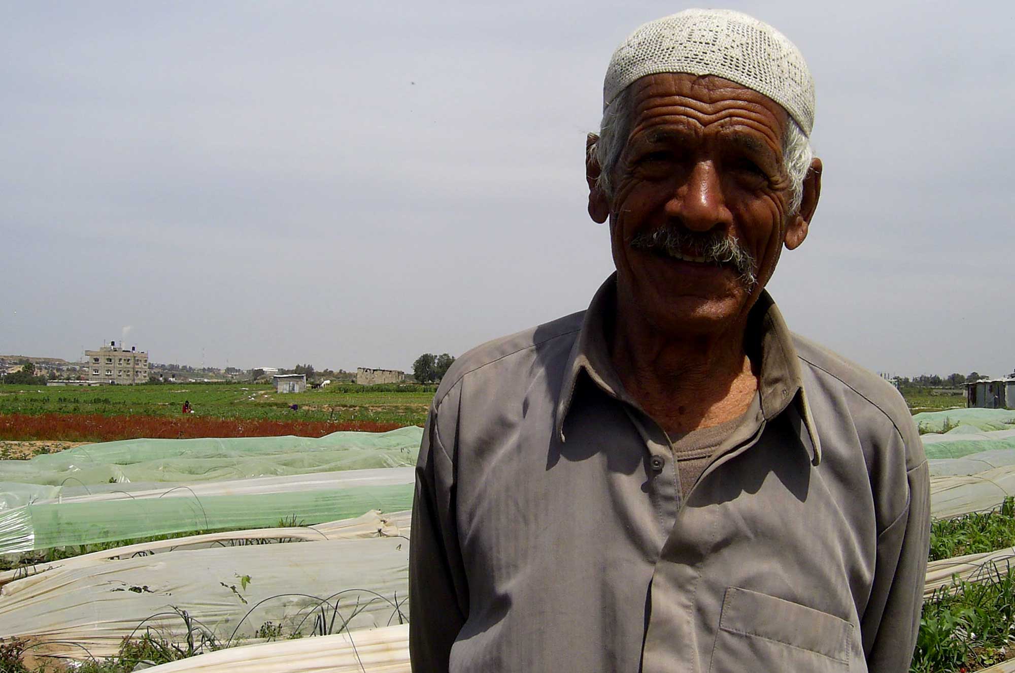 Beit Lahia farmer stands in his strawberry fields.
