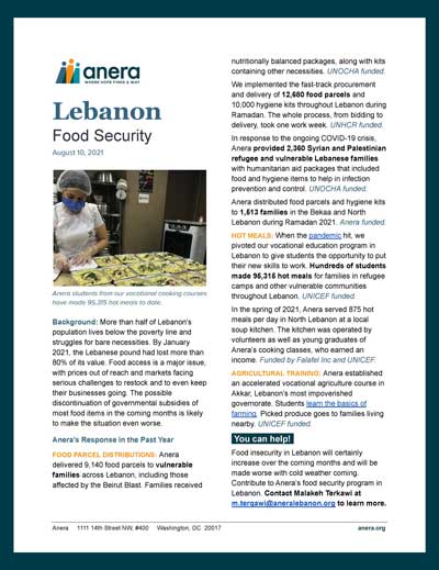 A fact sheet about how Anera is responding to food insecurity in Lebanon.