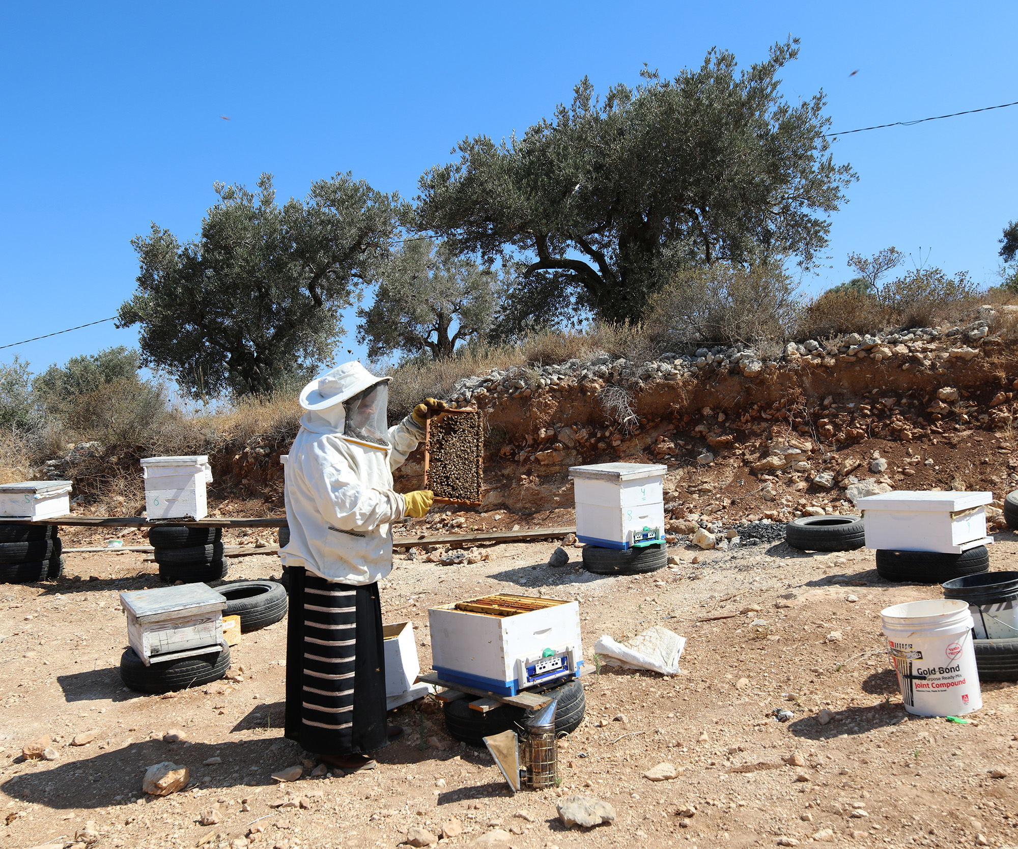 West Bank - Palestine Bee Keeper - Women Can 2021 (3)