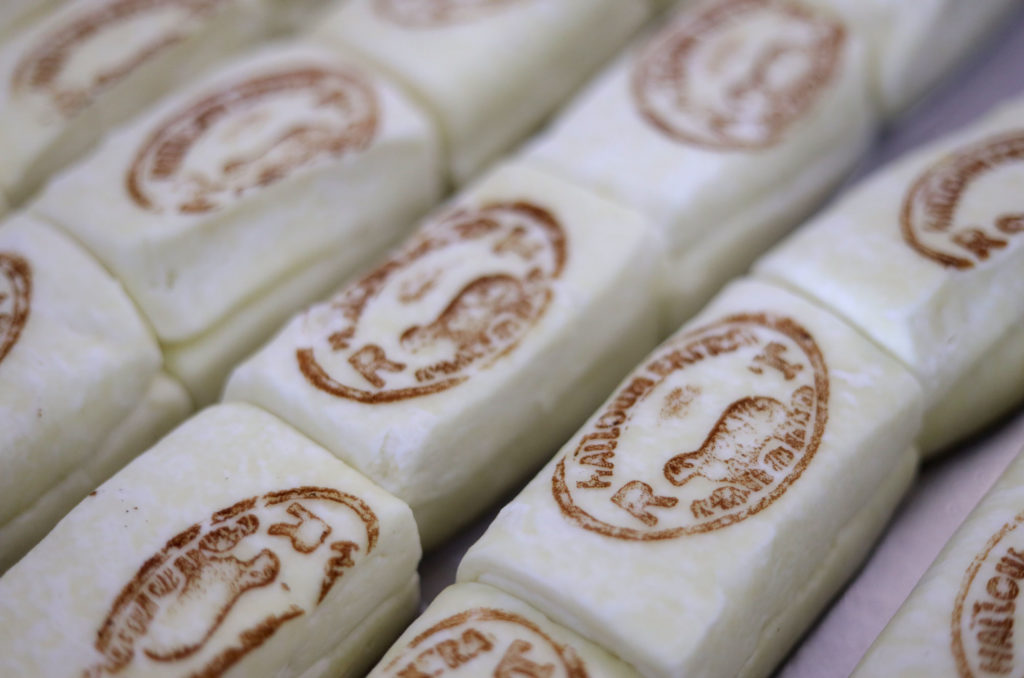 education, vocational, lebanon, youth, cheese 281A6322-EDIT Fresh cheese branded with the Taanayel Farms seal.