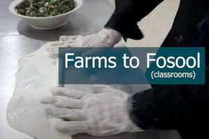 Farms to Fosool