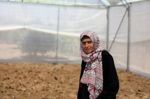 Habiba Mazyed in her greenhouse