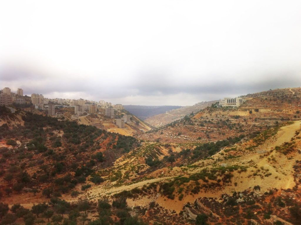 A landscape photo of Ramallah's green hills.