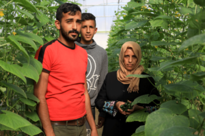 Rahma and her sons in their greenhouse.