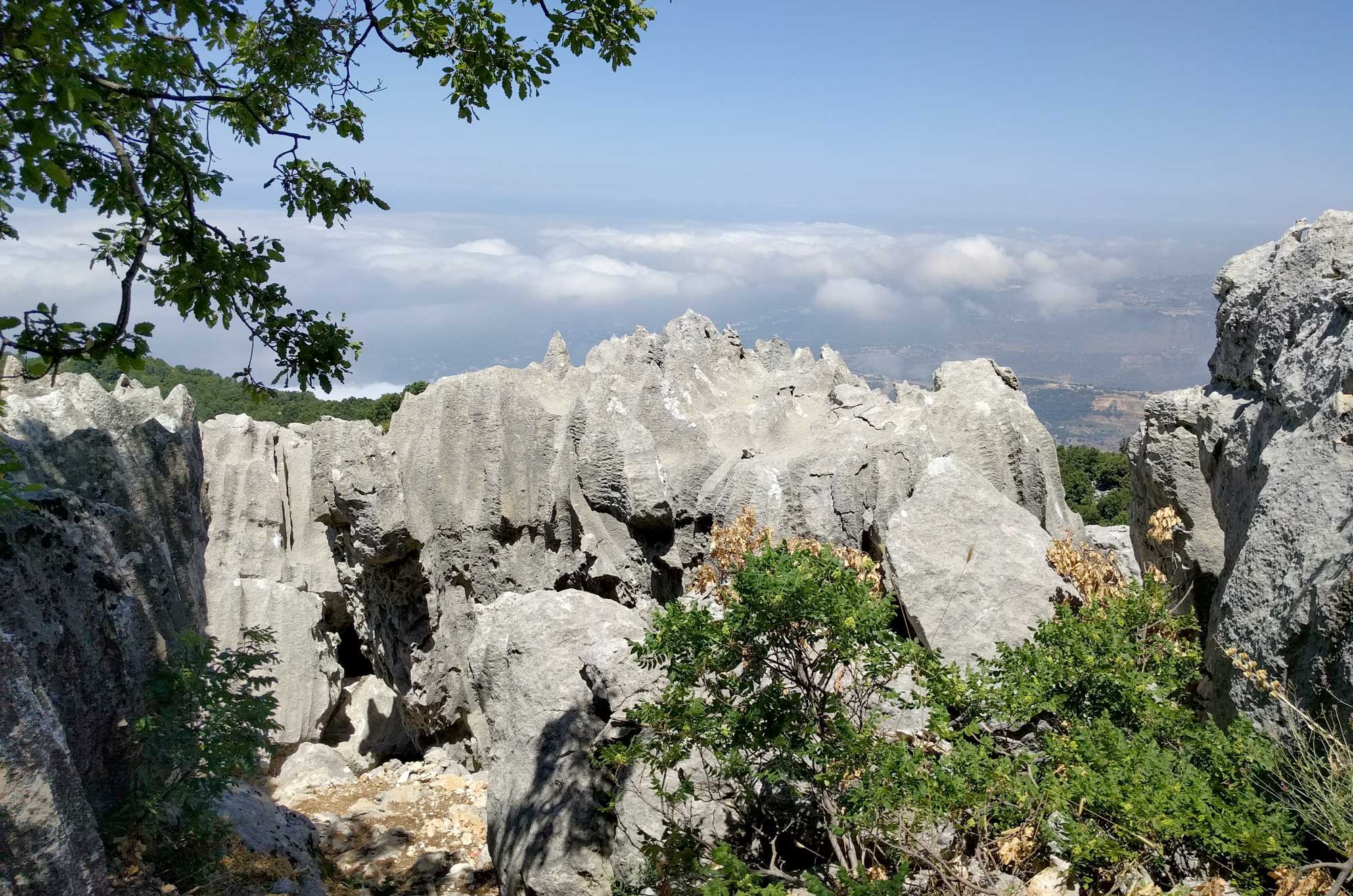 The Jabal Moussa Biosphere in the Kesrwane-Jbeil Governorate of Lebanon.