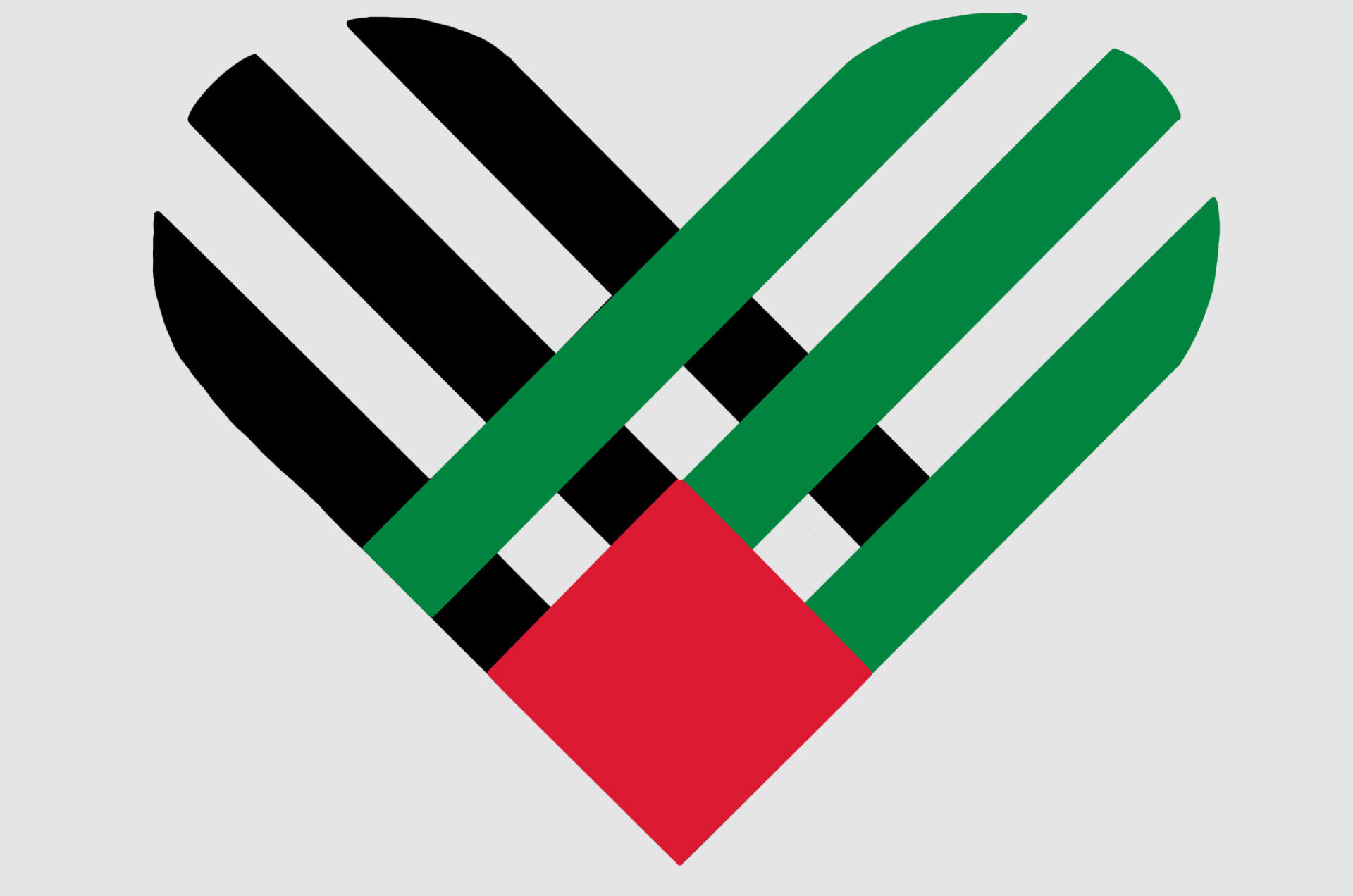 Giving Tuesday heart in Palestinian flag colors