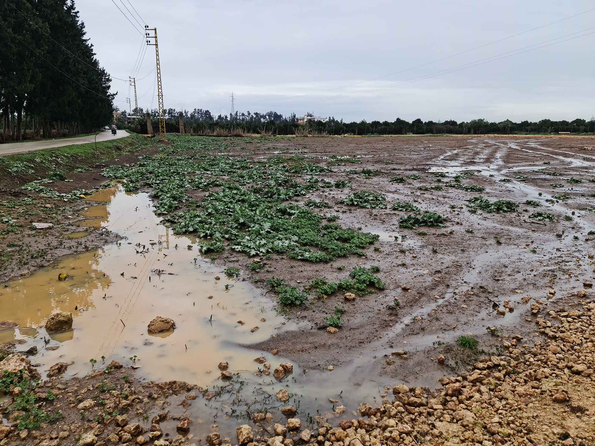 Agricultural lands destroyed by flooding.